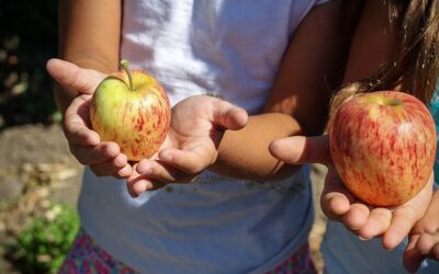 Elmbridge Borough Council fund fresh fruit