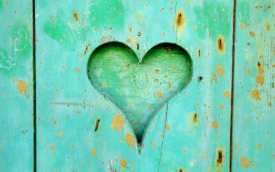 Funding from CFS for our Counselling Service